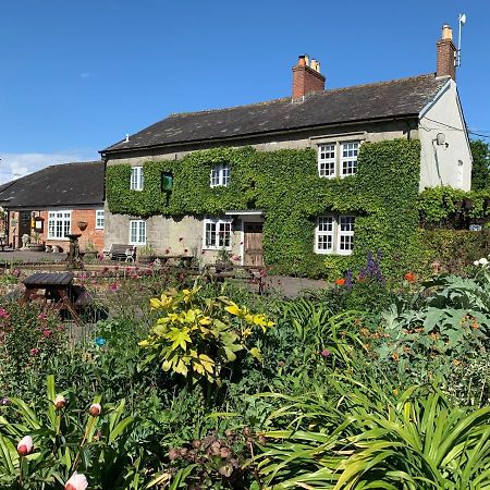 The Coppleridge Inn Motcombe Extérieur photo